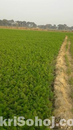 এই জমি বিক্রি করা হবে